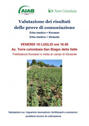 Valutazione dei risultati c/o '' Az. Agr. Torre Colombaia''