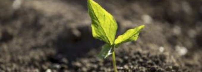 ESPERIENZE DI CONSOCIAZIONE IN ITALIA