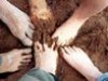 Agricoltur​a Sociale: Forum Agricoltur​a Sociale e Forum terzo Settore dell'Umbri​a rispondono a Coldiretti