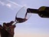 Vino biologico vs vino naturale
